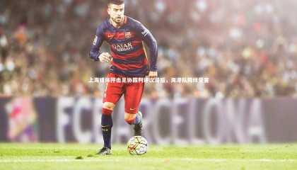 球速体育平台-上海媒体抨击足协裁判评议滞后，海港队同样受害